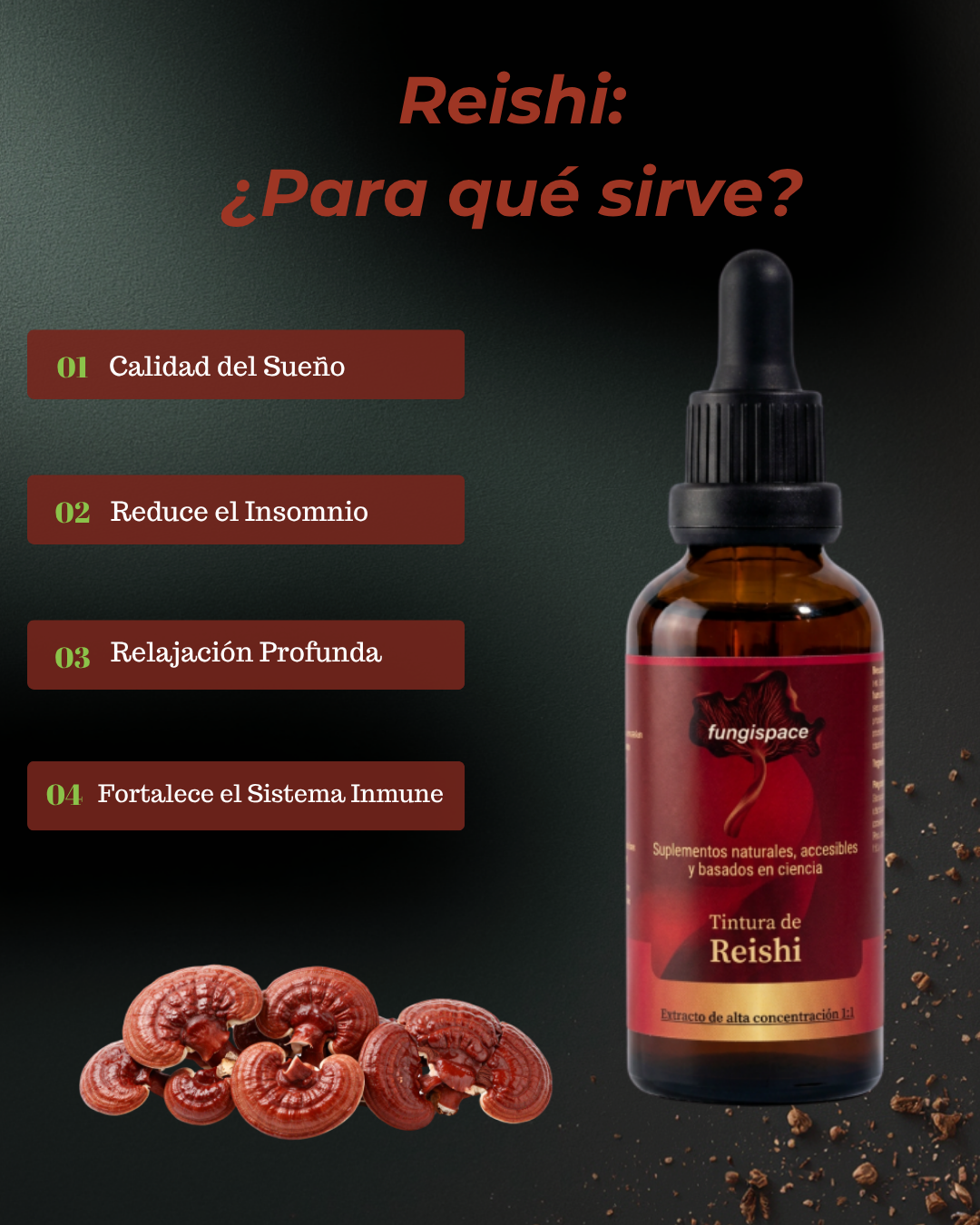 Combo sueño profundo: Reishi + Aswhagandha Fungispace