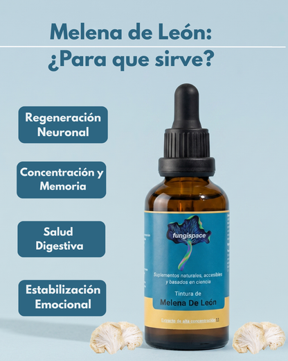 Melena de León — Tintura de Doble Extracción Fungispace