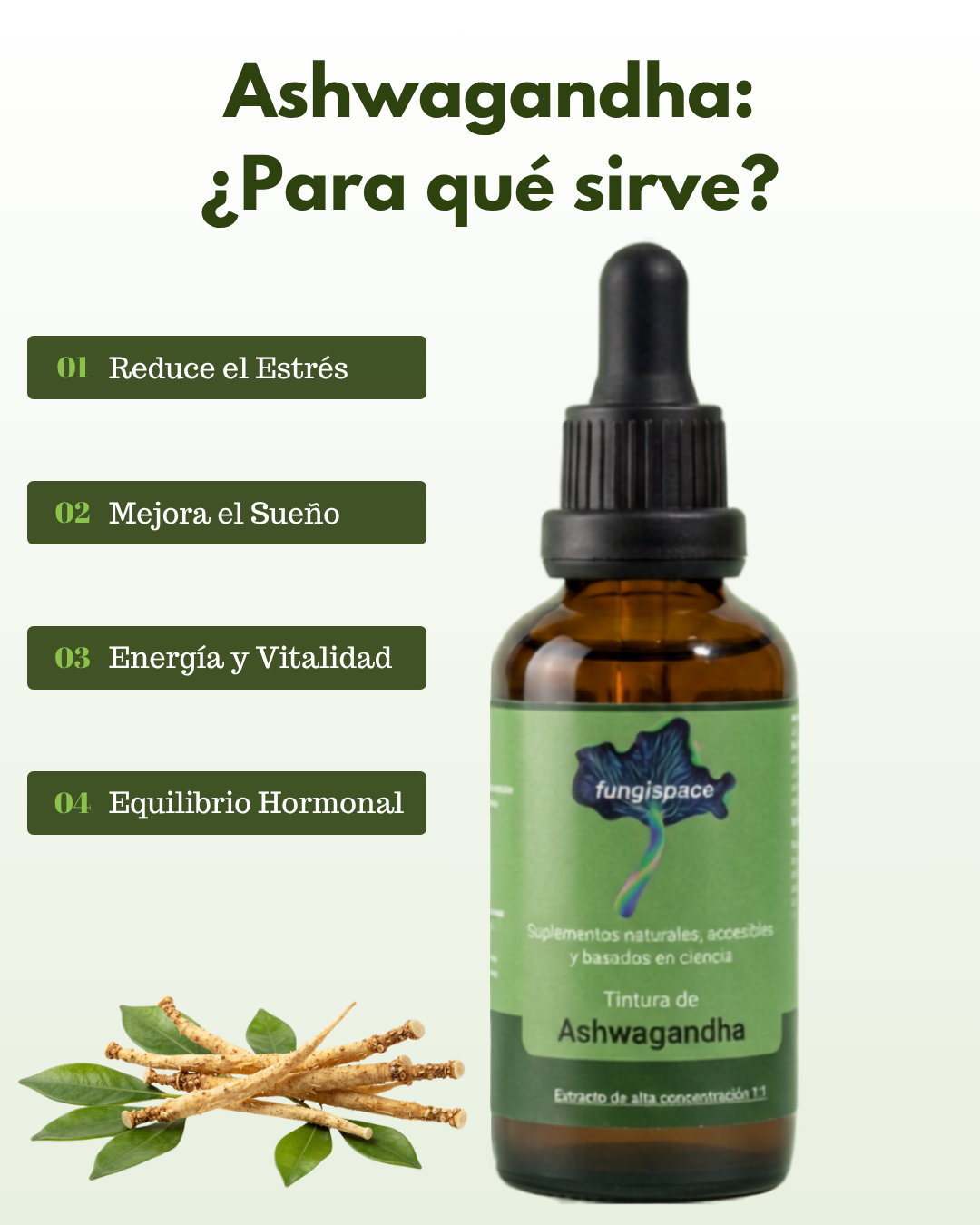Combo sueño profundo: Reishi + Aswhagandha Fungispace